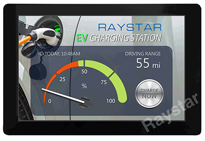 TFT LCD RFK101XF-1YH-LHG от Raystar